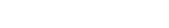 Bobo sungalss